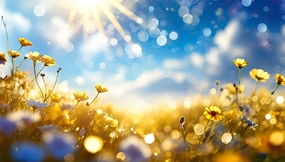 蓝天白云阳光花卉背景图片